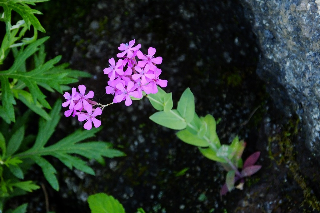 b0236251_16535988.jpg