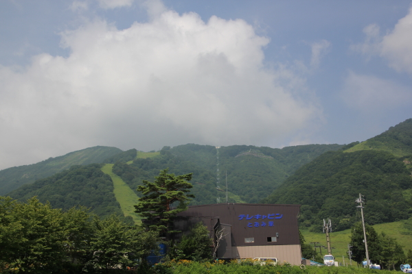 f0160554_204441.jpg