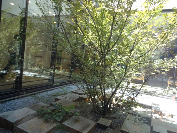 f0198556_2331190.jpg