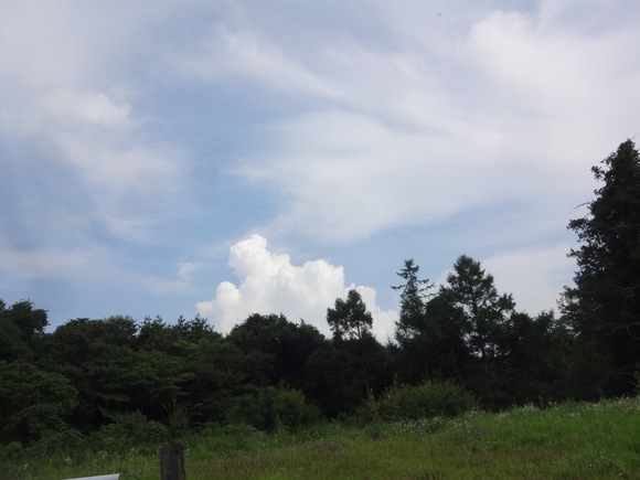 f0198556_23502642.jpg