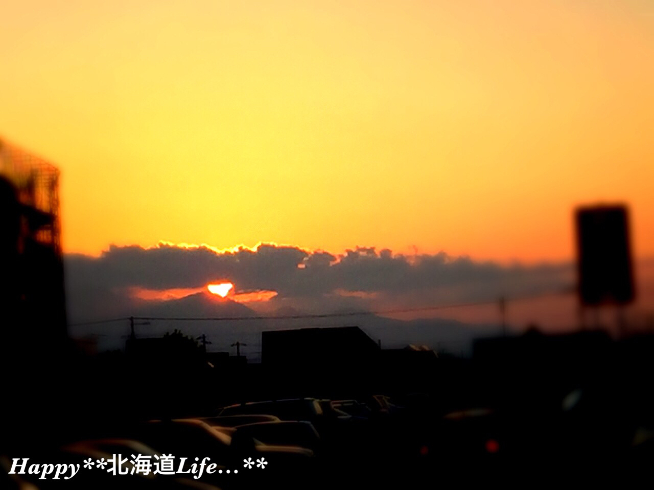 a0337860_23083127.jpg