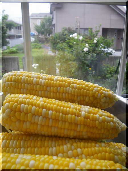 c0024861_14233859.jpg