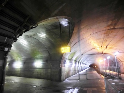 e0045768_21331820.jpg