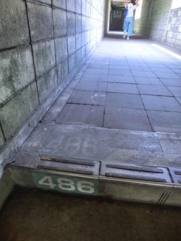 e0045768_21421742.jpg