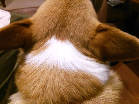 f0000673_0185872.jpg