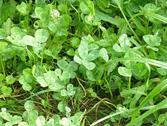 b0057675_10061564.jpg