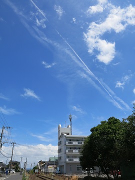 e0130185_11251563.jpg