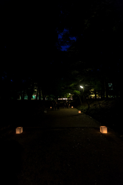 e0051888_73415.jpg