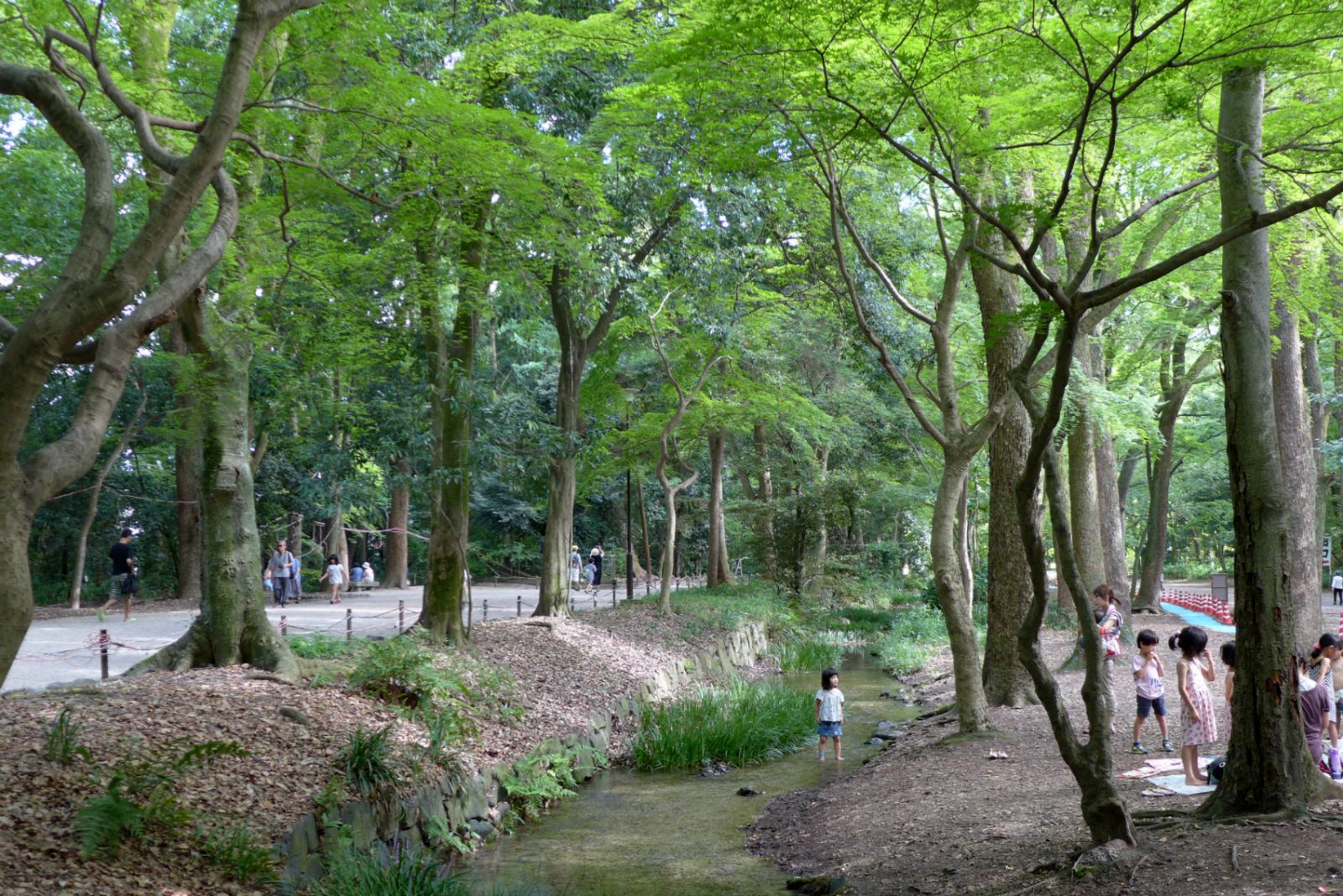 a0127090_22039.jpg