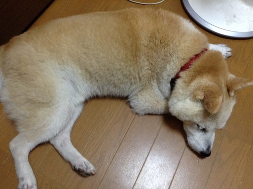 c0123890_20173080.jpg