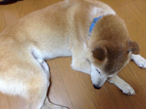 c0123890_2017927.jpg