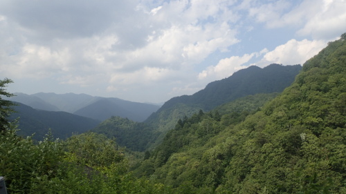 a0338094_21554299.jpg