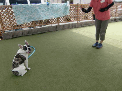 a0338800_23420356.gif