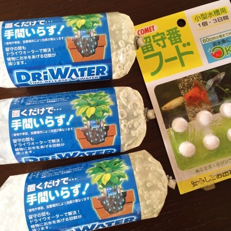 c0037519_09075680.jpg
