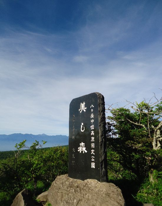 b0248920_16575.jpg