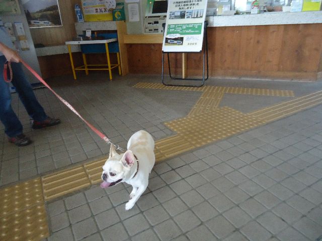 b0248920_7421135.jpg