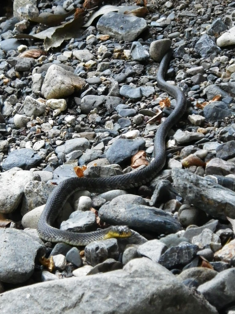 c0189724_1583585.jpg