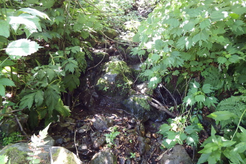 f0118332_00231680.jpg