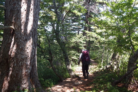 f0118332_00250652.jpg