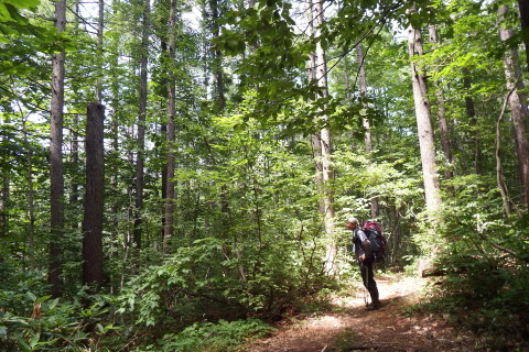 f0118332_00254131.jpg