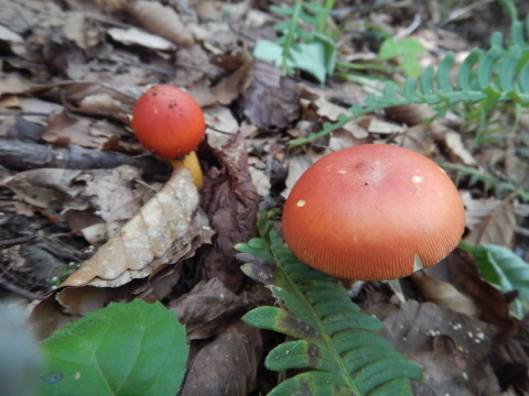 f0118332_00304210.jpg