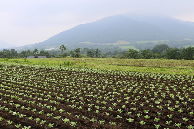 a0242438_18355961.jpg