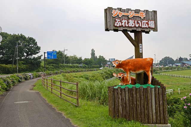 a0242438_18371421.jpg
