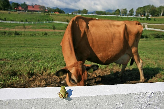 a0242438_18501686.jpg