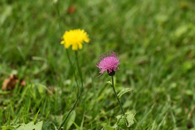 a0242438_1851318.jpg