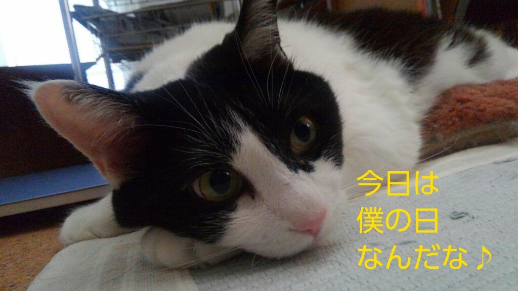 c0181639_20112249.jpg