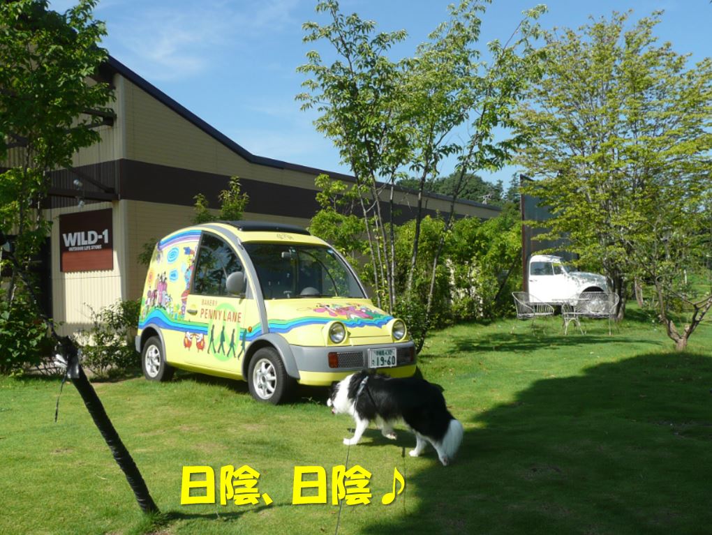 c0147241_8124413.jpg