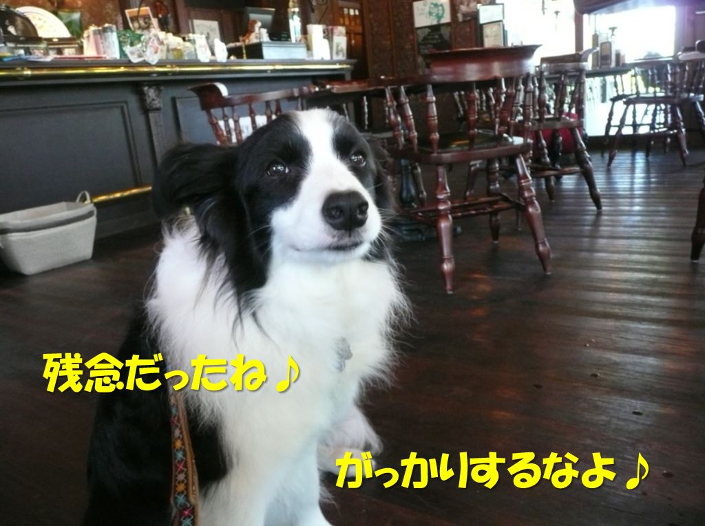 c0147241_8143100.jpg