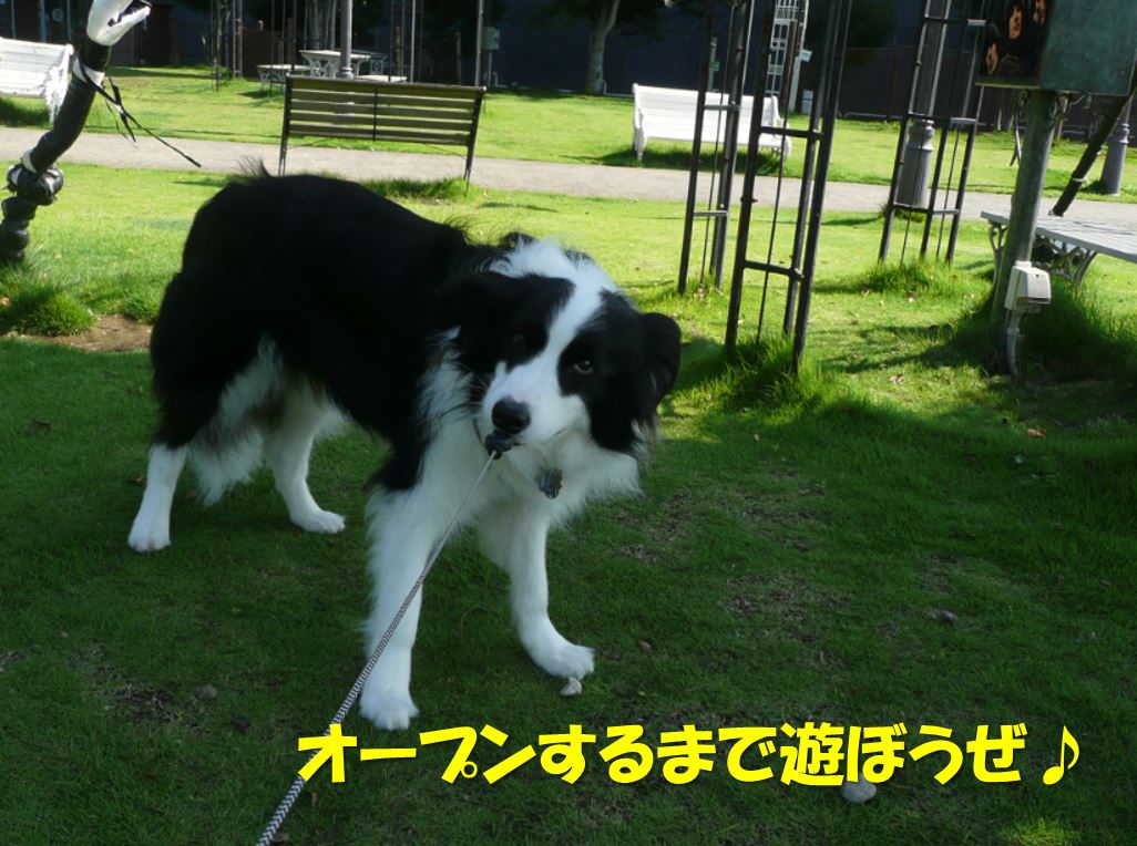 c0147241_8202731.jpg