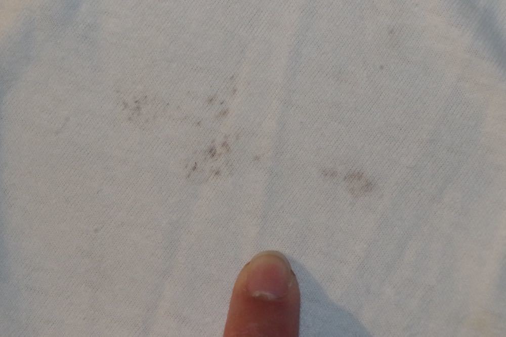b0275845_16032892.jpg