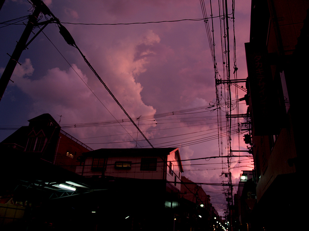 a0192147_10161729.jpg