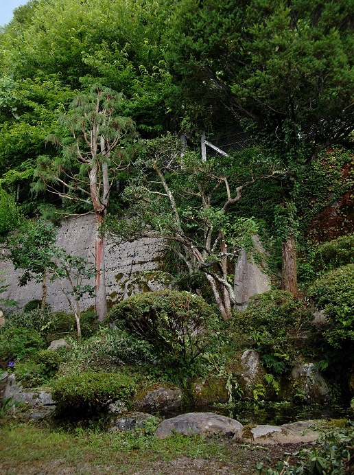 e0193247_20401286.jpg