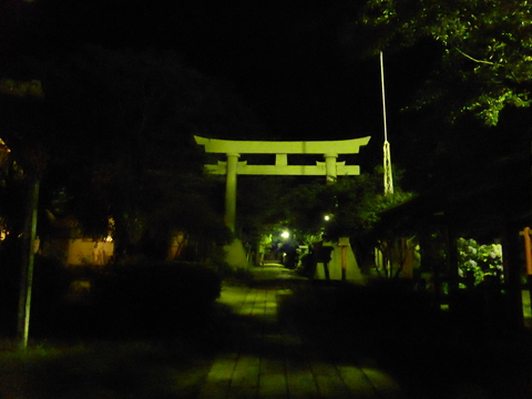 b0238249_17201474.jpg