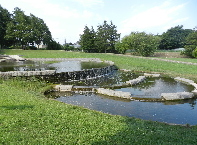 e0172950_20123047.jpg