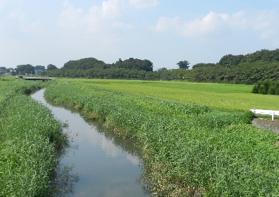 e0172950_2072419.jpg