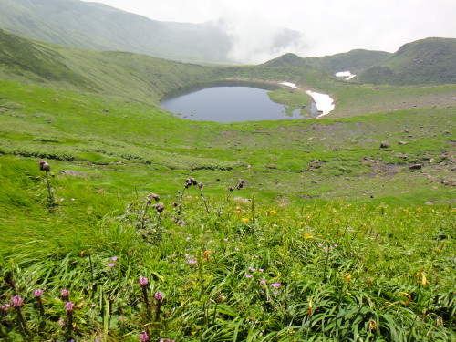c0179351_94078.jpg