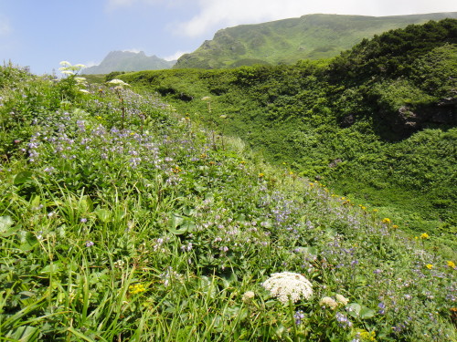 c0179351_944132.jpg