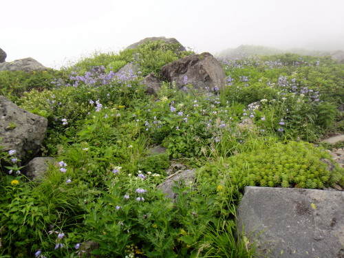 c0179351_9473691.jpg
