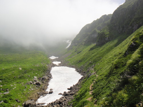 c0179351_947572.jpg
