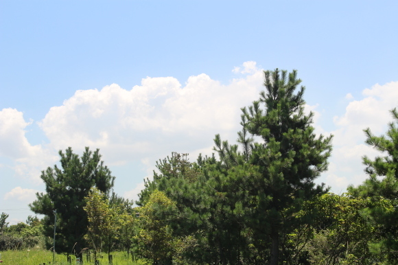 b0243152_20122074.jpg