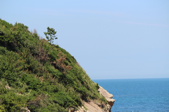 b0243152_20123614.jpg