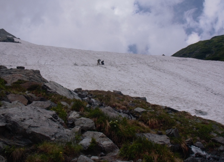 b0335256_16250497.jpg