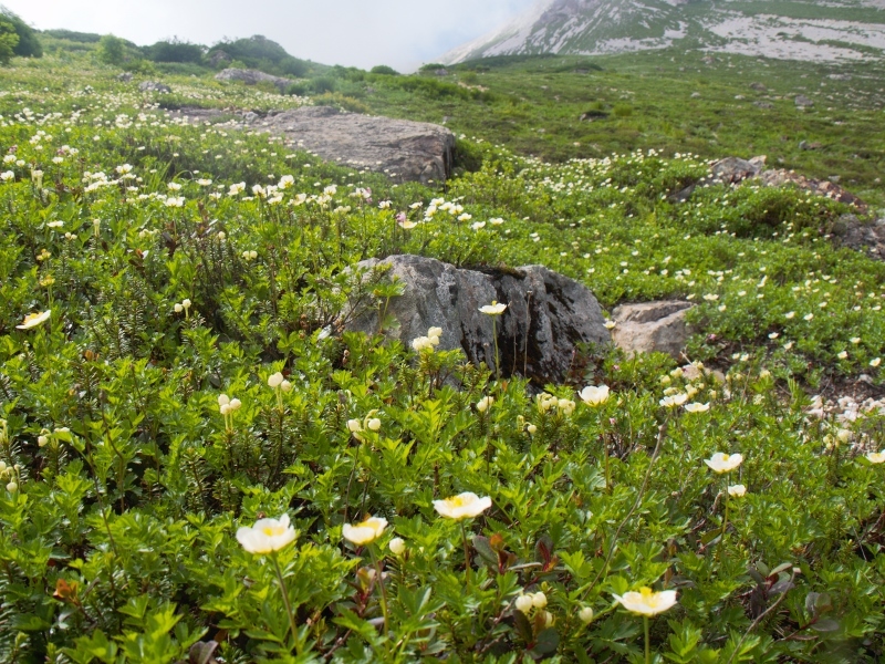 b0335256_16521700.jpg
