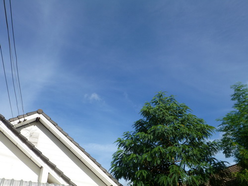 c0357964_20252637.jpg