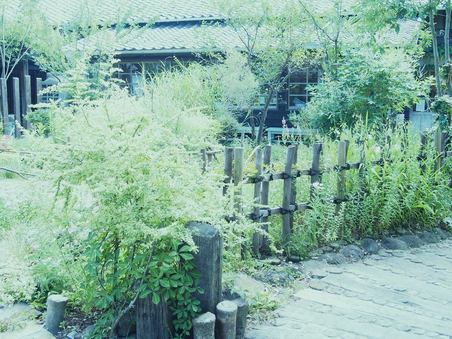 f0248782_11563374.jpg