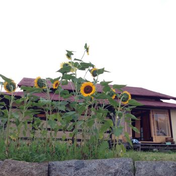 f0129390_17214941.jpg
